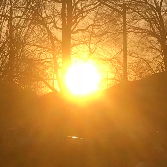 Meet your Posher, Jessica - Picture 1 of 1